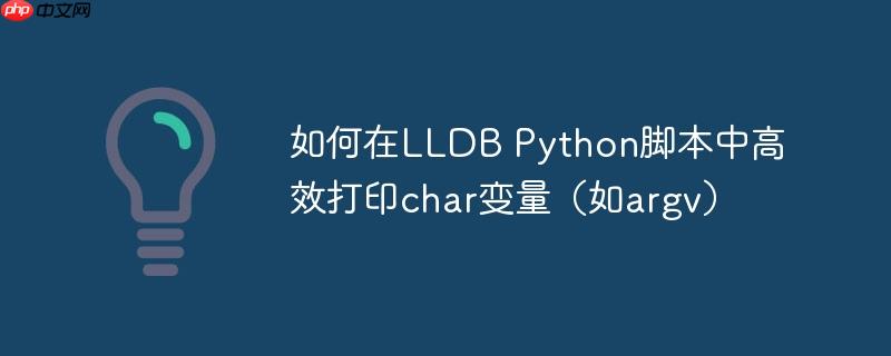 如何在lldb python脚本中高效打印char变量（如argv）