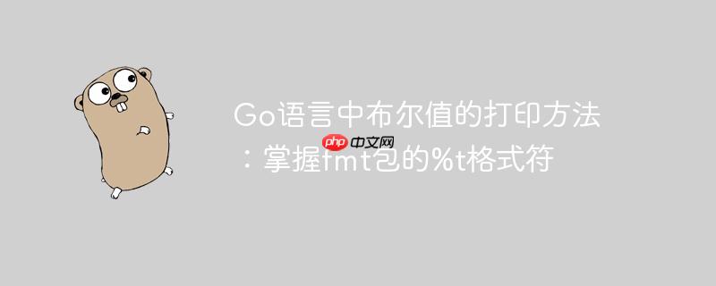 Go语言中布尔值的打印方法:掌握fmt包的%t格式符