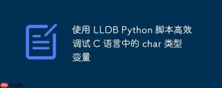 使用 lldb python 脚本高效调试 c 语言中的 char 类型变量