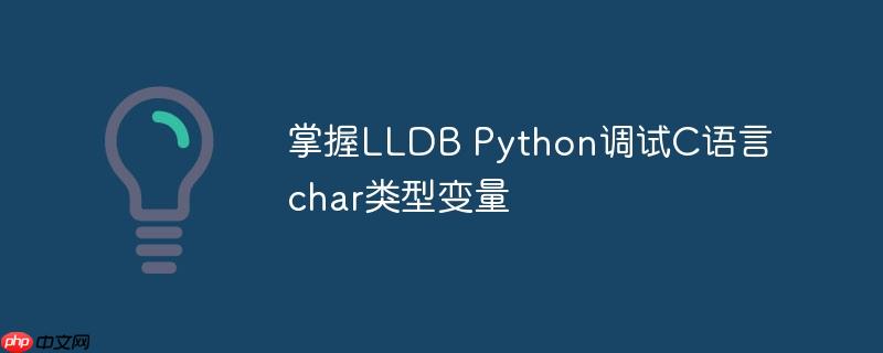 掌握lldb python调试c语言char类型变量
