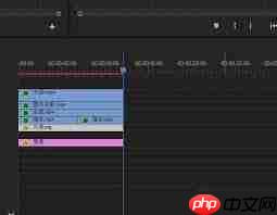 pr视频文件导出只有几kb无法正常播放如何解决