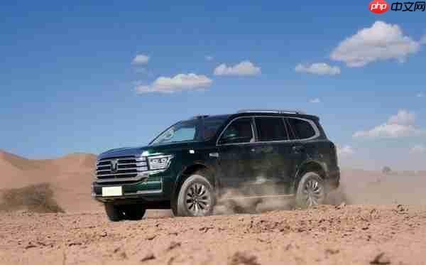 魏建军：全新坦克500将于8月11日预售发布 有辅助驾驶