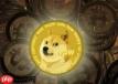 柴犬币和狗狗币哪个更具优势