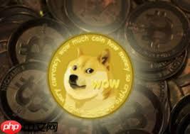 どちらがより有利なのか、Shiba InuまたはDogecoin?