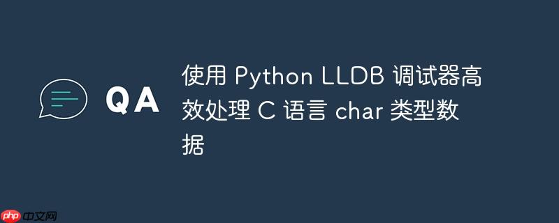 使用 Python LLDB 调试器高效处理 C 语言 char 类型数据

