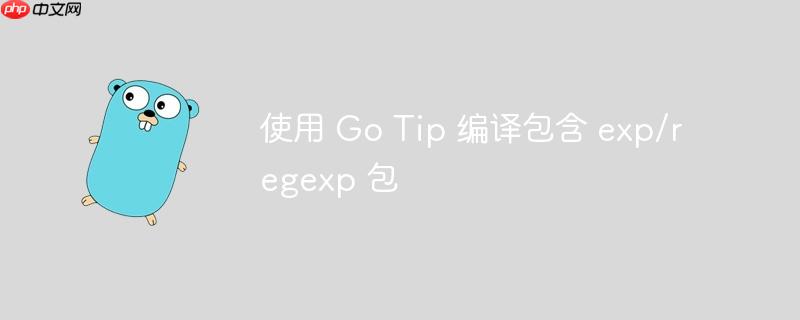 使用 go tip 编译包含 exp/regexp 包