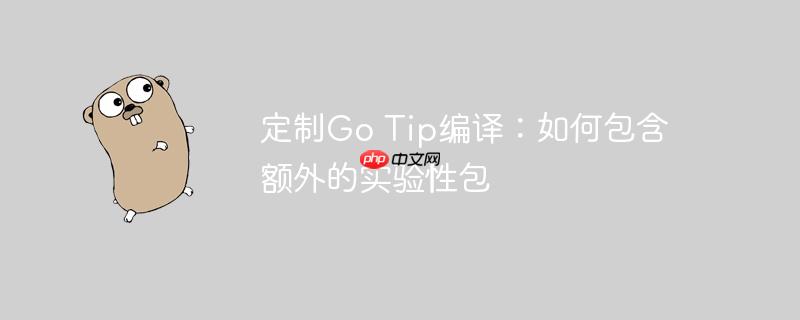 定制go tip编译：如何包含额外的实验性包
