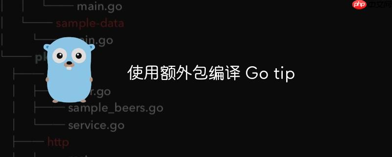 使用额外包编译 go tip