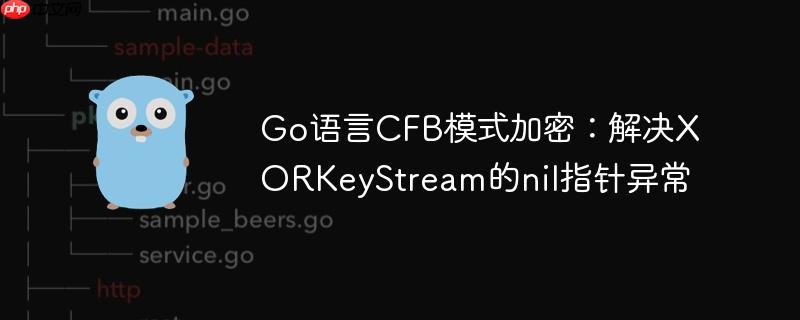 go语言cfb模式加密:解决xorkeystream的nil指针异常