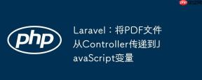 Laravel：将PDF文件从Controller传递到JavaScript变量