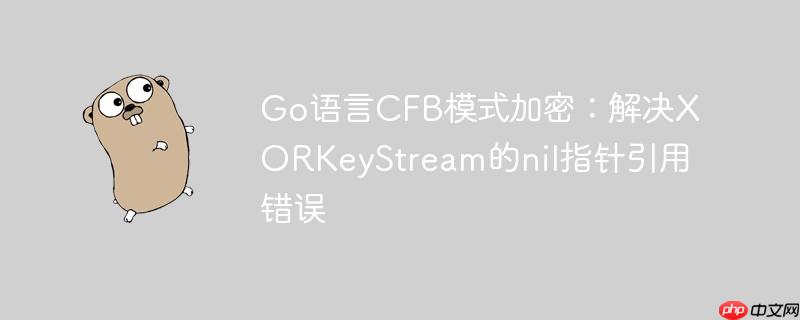 go语言cfb模式加密：解决xorkeystream的nil指针引用错误