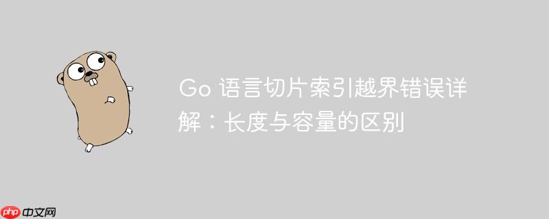 go 语言切片索引越界错误详解：长度与容量的区别