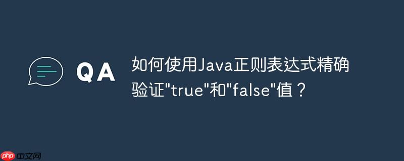 如何使用java正则表达式精确验证