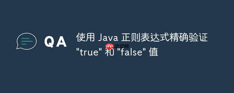 使用 java 正则表达式精确验证 