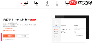 向日葵远程控制软件如何开启自动检查网络