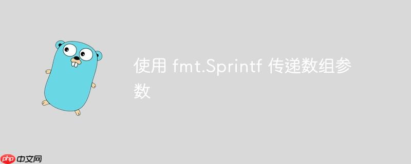 使用 fmt.Sprintf 传递数组参数