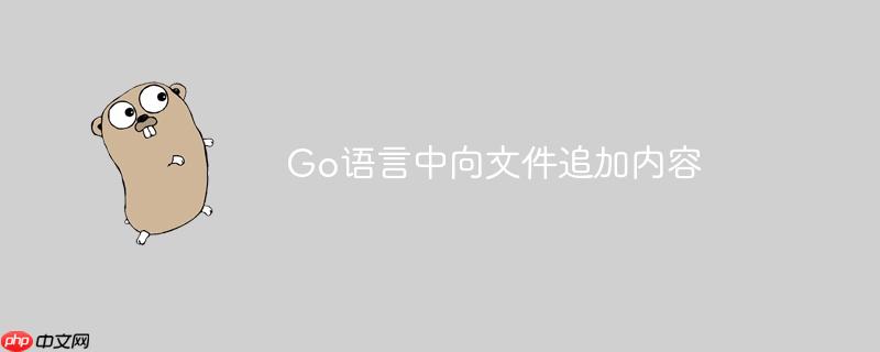 go语言中向文件追加内容