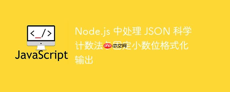 Node.js 中处理 JSON 科学计数法与固定小数位格式化输出-小浪学习网