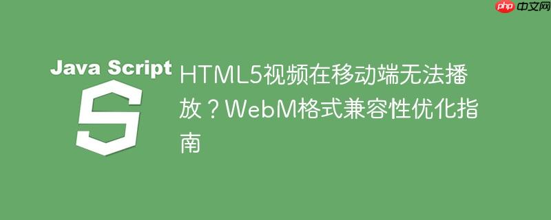 HTML5视频在移动端无法播放?WebM格式兼容性优化指南