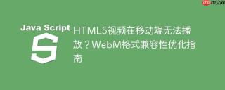 HTML5视频在移动端无法播放？WebM格式兼容性优化指南