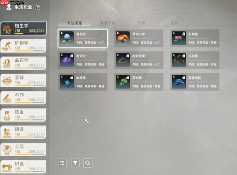 星痕共鸣生活职业怎么玩 生活职业系统详细介绍