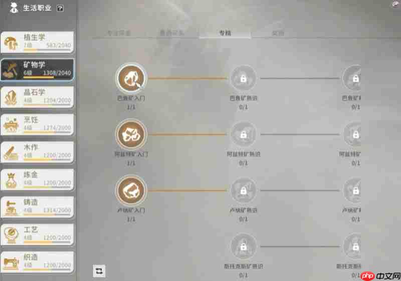 星痕共鸣生活职业怎么玩 生活职业系统详细介绍