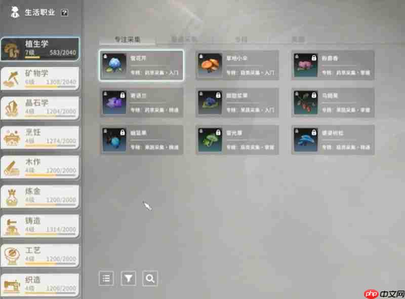 星痕共鸣生活职业怎么玩 生活职业系统详细介绍