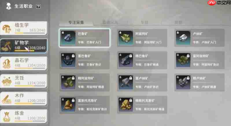 星痕共鸣生活职业怎么玩 生活职业系统详细介绍