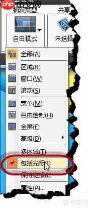 截图技巧让文档更生动