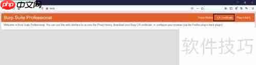 Burp Suite抓取HTTPS数据包