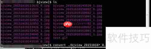 多张JPG制作GIF动画