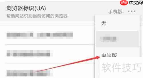 UC浏览器电脑版网页设置指南
