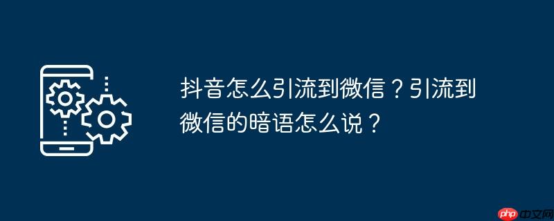 抖音怎么引流到微信?引流到微信的暗语怎么说?