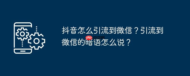 抖音怎么引流到微信？引流到微信的暗语怎么说？