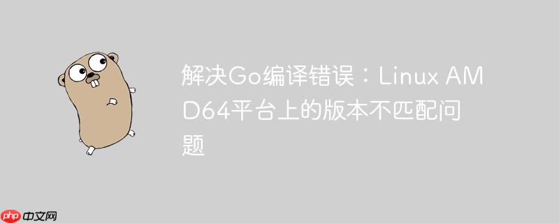解决Go编译错误：Linux AMD64平台上的版本不匹配问题-小浪学习网