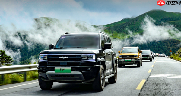 第31周硬派越野车型周销量TOP10:豹5险胜坦克300