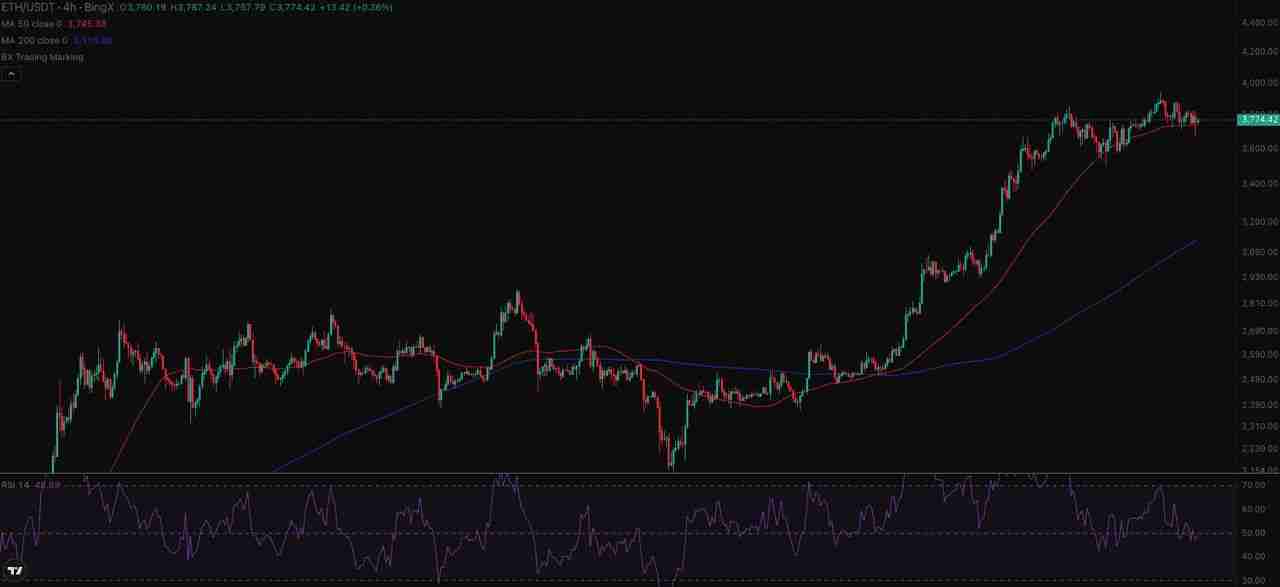 如何使用ChatGPT 进行加密货币?功能用法指南