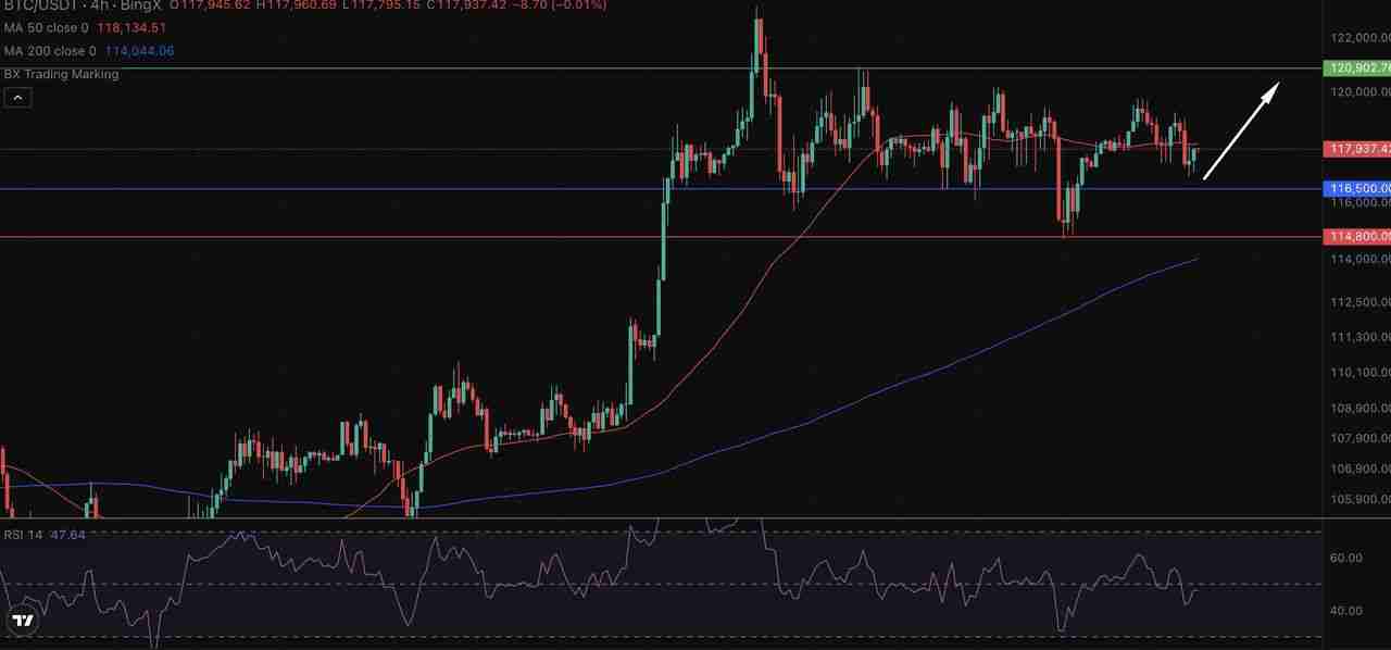 如何使用ChatGPT 进行加密货币?功能用法指南