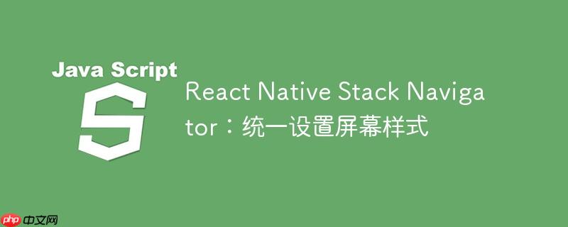 react native stack navigator：统一设置屏幕样式