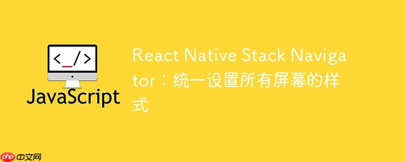 react native stack navigator:统一设置所有屏幕的样式