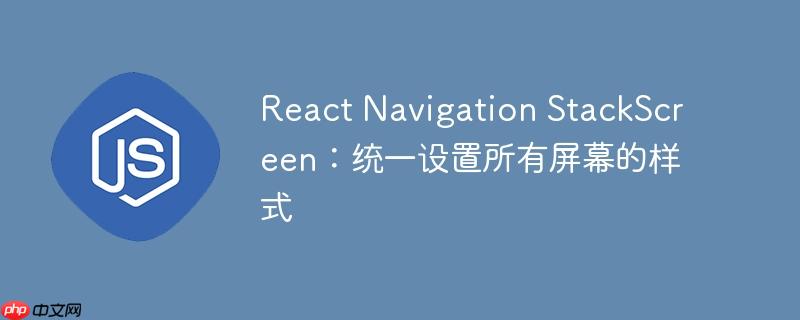 react navigation stackscreen:统一设置所有屏幕的样式