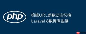 根据URL参数动态切换Laravel 8数据库连接