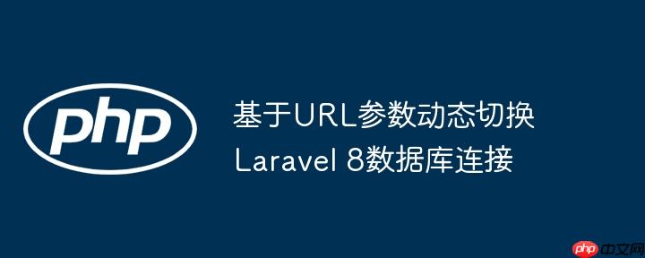 基于url参数动态切换laravel 8数据库连接