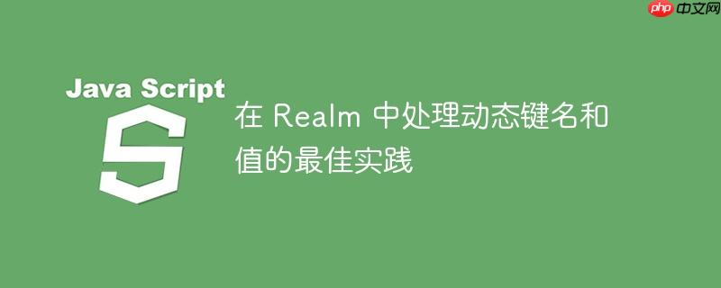 在 realm 中处理动态键名和值的最佳实践