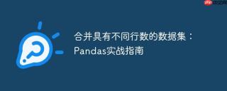 合并具有不同行数的数据集：Pandas实战指南
