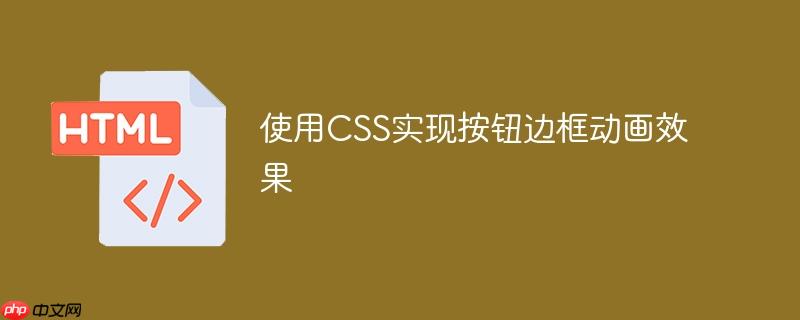使用CSS实现按钮边框动画效果-小浪学习网