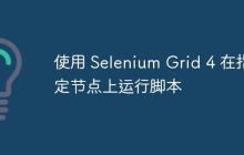 使用 Selenium Grid 4 在指定节点上运行脚本