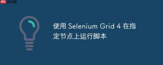 使用 Selenium Grid 4 在指定节点上运行脚本