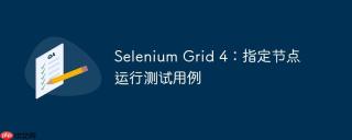 Selenium Grid 4：指定节点运行测试用例