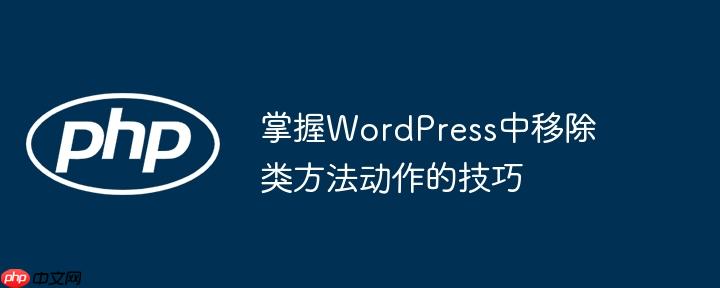 掌握WordPress中移除类方法动作的技巧
